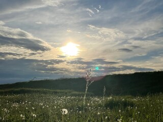 sunset in the field