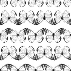 Seamless pattern of realistic butterfly. Hand drawn illustration. Painted  butterflies elements on white background. Animal motif. Black and white. For fabric, textile, design, banner, wrapping paper.