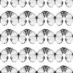 Seamless pattern of realistic butterfly. Hand drawn illustration. Animal motif. Painted butterflies elements on white background. Black and white. For fabric, textile, design, banner, wrapping paper.