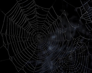 Spider web silhouette against black wall - halloween theme dark background