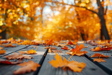 orange autumn leaves on the wooden floor