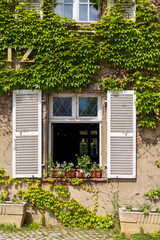 Ivy-Covered House with Open Window and Flower Pots