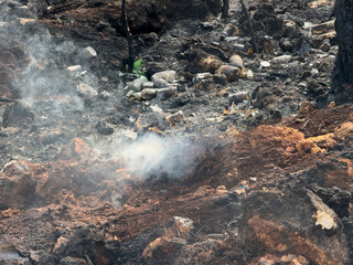 Forest fire and environmental disaster.