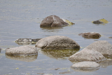 idyllischer Steinstrand auf Rügen Nähe Arkona - idyllic stone beach on Rügen near Arkona