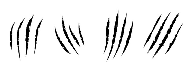 Cat tiger scratches signs. Animal Claw scratches mark set isolated transparent background