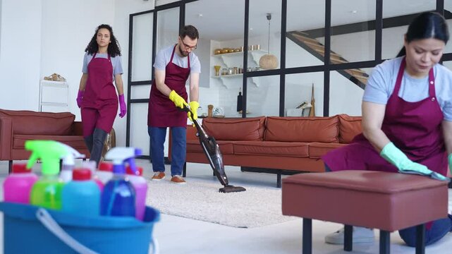 Professional cleaners focus on disinfection, housekeeping, sanitizing, and vacuuming for spotless living spaces. Slow motion