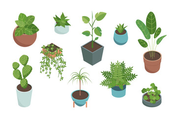 Cartoon Color House Plants Set 3d Isometric View Include of Cactus, Philodendron and Succulent. Vector illustration