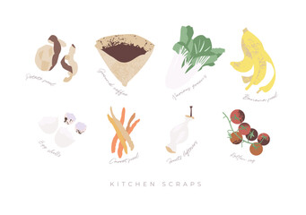 Vector illustration of various food waste suitable for composting. Reducing waste concept