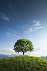 Obraz premium Modern windmill technology, illustrating the latest advancements in wind energy technology.