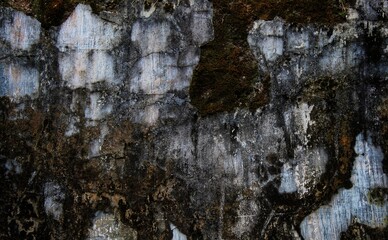 The textures and patterns on concrete walls look old and unique, making them popular as backgrounds...