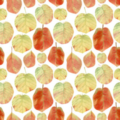 Birch leaves background. Seamless watercolor pattern with green and orange fall leaves for wallpapers, textile, home decor