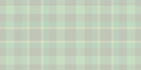 Day seamless texture background, patterned tartan vector pattern. Continuity plaid textile check fabric in light and grey colors.
