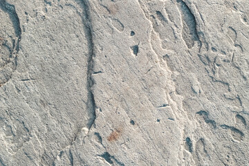 The texture of the gray plaster is textured close-up
