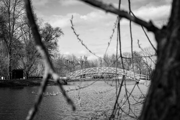 Bridge at the lake