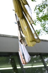 clothes hanging in the garden
