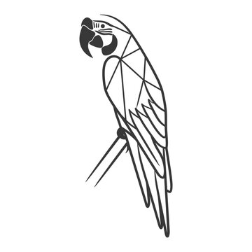 recommend clip art: parrot with geometrically shaped feathers perched on a branch