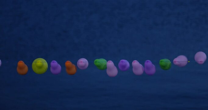 balloons on a sea background