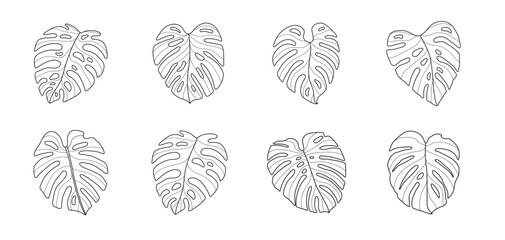 monstera leaf hand drawn outline set tropical leaves silhouette vector art graphic design summer green nature drawing line tree plant holiday organic natural minimal adult coloring book doodle sketch