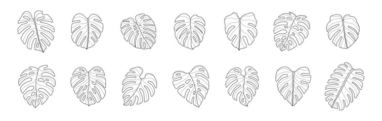 monstera leaf hand drawn outline set tropical leaves silhouette vector art graphic design summer green nature drawing line tree plant holiday organic natural minimal adult coloring book doodle sketch © athikom
