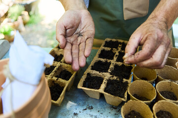 Close-up of hands planting seeds in biodegradable pots for gardening