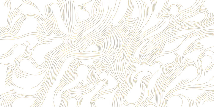 Luxury line background, gold wavy art texture. Organic wood, hair illustration, curve elegant graphic. Flow template, swirl graphic. 