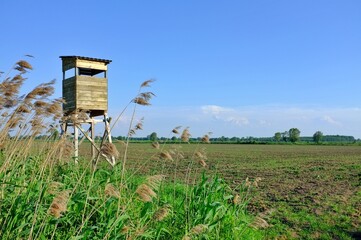hunting tower on blue sunny day