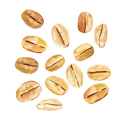 Oat flakes isolated on white background. Flakes for oatmeal. Watercolor Image oat flakes for design. Oats illustration