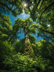 Fototapeta premium Towering tree with moss-covered trunk extends upwards towards clear blue sky, surrounded by dense canopy of vibrant green leaves. Sunlight filters through foliage.