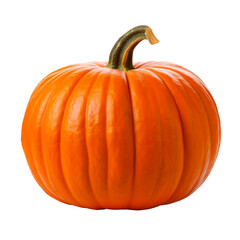 Obraz premium Isolated Orange Pumpkin with Ribbed Surface and Sturdy Stem.