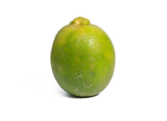 lime isolated on white background