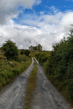 tree lined dirt road going to a church ruin