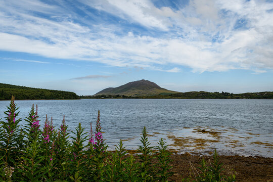 lake and mountains with flowers in Ireland