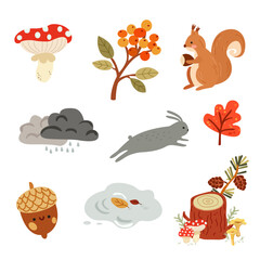 Autumn set of vector hand-drawn icons. Autumn cozy sticker. Set of autumn forest plants, forest animals, autumn products and food, knitted sweaters, raincoat and umbrella