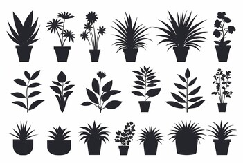 Obraz premium Minimalist Botanical Illustrations: Enhance Your Designs with These Stylish and Modern Botanical Elements