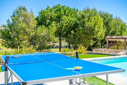 Ping pon table garden with trees