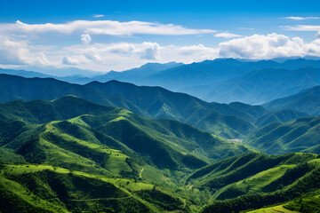 Fototapeta premium Serenity Unfolded: The Pure Essence of a Lush Green, Human-free Environment