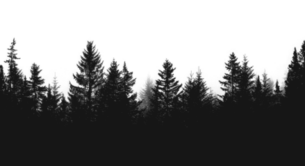 PNG Misty forest silhouette with trees