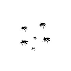 group flying mosquitoes