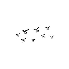 group flying mosquitoes