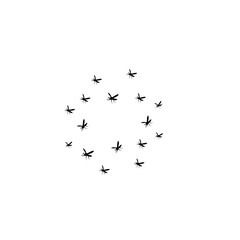 group flying mosquitoes