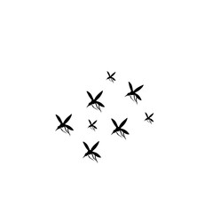 group flying mosquitoes