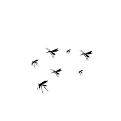 group flying mosquitoes