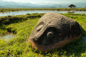 One of the megaliths, hidden by the landscape and rice fields, in the Bada Valley, Sulawesi Island,...