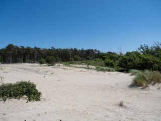 Strand duinen Nederland