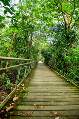 Fototapeta premium Labrador Nature Reserve in Singapore