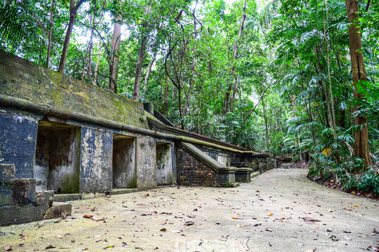 Labrador Nature Reserve in Singapore