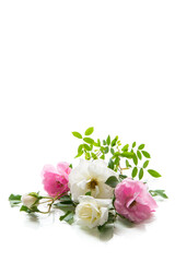 wooden light background with white and pink roses