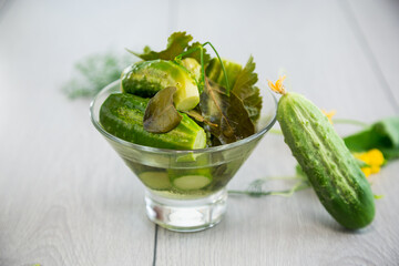 homemade food, lightly salted cucumbers with spices