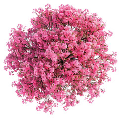 Fototapeta premium PNG Vibrant pink floral bouquet arrangement