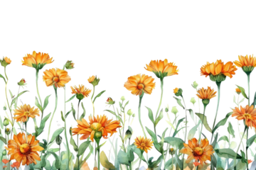 PNG  Vibrant watercolor orange flowers